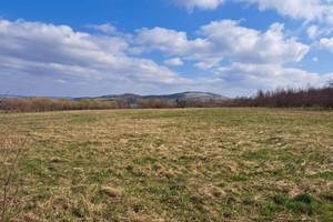 Działka na sprzedaż 17019m2 jasielski Osiek Jasielski Pielgrzymka - zdjęcie 2