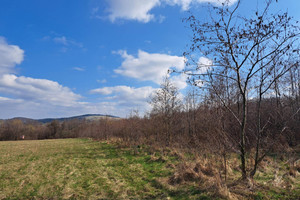 Działka na sprzedaż 17019m2 jasielski Osiek Jasielski Pielgrzymka - zdjęcie 2