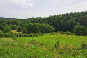 Działka na sprzedaż 4765m2 sanocki Sanok Dobra - zdjęcie 1