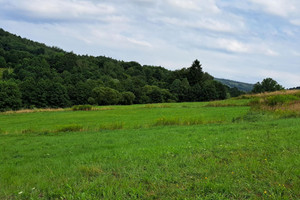 Działka na sprzedaż 5200m2 krośnieński Wojaszówka Pietrusza Wola - zdjęcie 1