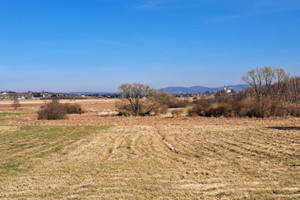 Działka na sprzedaż 1830m2 krośnieński Chorkówka Żeglce - zdjęcie 3