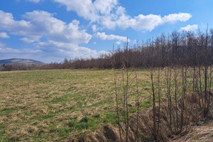 Działka na sprzedaż 17019m2 jasielski Osiek Jasielski Pielgrzymka - zdjęcie 1