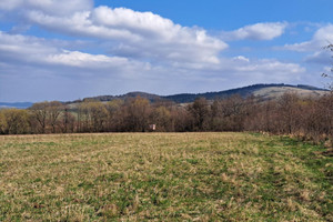 Działka na sprzedaż 17019m2 jasielski Osiek Jasielski Pielgrzymka - zdjęcie 1