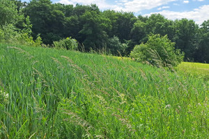 Działka na sprzedaż 6089m2 krośnieński Jedlicze Podniebyle - zdjęcie 1