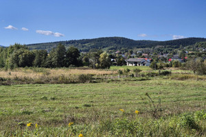 Działka na sprzedaż 5751m2 jasielski Jasło Osobnica - zdjęcie 2