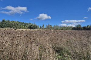 Działka na sprzedaż 5751m2 jasielski Jasło Osobnica - zdjęcie 3