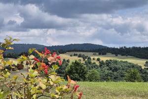 Działka na sprzedaż 9300m2 krośnieński Dukla Posada Jaśliska - zdjęcie 2