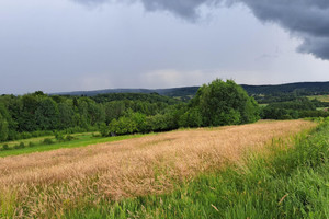 Działka na sprzedaż 8575m2 jasielski Kołaczyce Sieklówka - zdjęcie 1