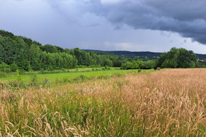 Działka na sprzedaż 8575m2 jasielski Kołaczyce Sieklówka - zdjęcie 3