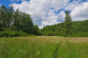 Działka na sprzedaż 7600m2 jasielski Dębowiec Duląbka - zdjęcie 2