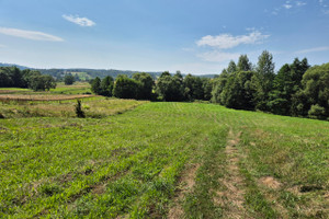 Działka na sprzedaż 8051m2 brzozowski Domaradz Golcowa - zdjęcie 1