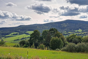 Działka na sprzedaż 9900m2 krośnieński Dukla Posada Jaśliska - zdjęcie 2