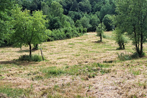 Działka na sprzedaż 4765m2 sanocki Sanok Dobra - zdjęcie 3