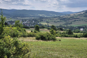 Działka na sprzedaż 9300m2 krośnieński Dukla Posada Jaśliska - zdjęcie 1