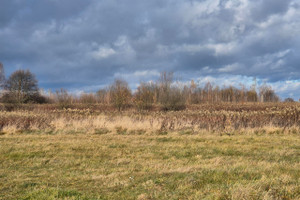 Działka na sprzedaż 3236m2 jasielski Jasło Osobnica - zdjęcie 3