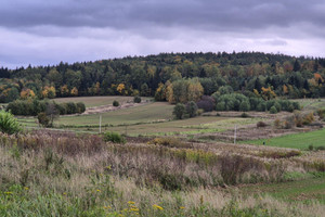 Działka na sprzedaż 1910m2 krośnieński Jedlicze Długie - zdjęcie 1