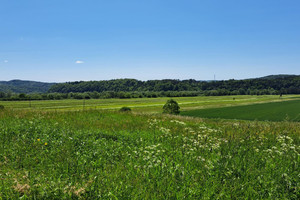 Działka na sprzedaż 529m2 brzozowski Dydnia Ulucz - zdjęcie 3