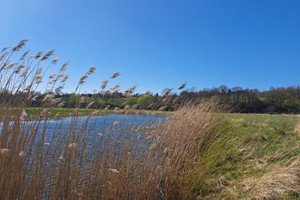 Działka na sprzedaż 5408m2 jasielski Dębowiec - zdjęcie 1