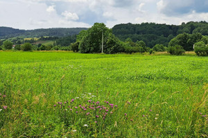 Działka na sprzedaż 5650m2 sanocki Zagórz Morochów - zdjęcie 1