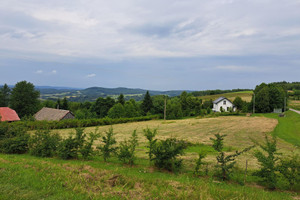 Działka na sprzedaż 2860m2 brzozowski Dydnia Niebocko - zdjęcie 1