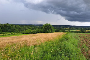 Działka na sprzedaż 8575m2 jasielski Kołaczyce Sieklówka - zdjęcie 2