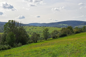 Działka na sprzedaż 9900m2 krośnieński Dukla Posada Jaśliska - zdjęcie 1