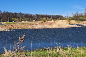 Działka na sprzedaż 5408m2 jasielski Dębowiec - zdjęcie 3