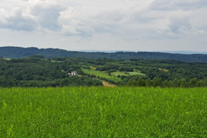 Działka na sprzedaż 2860m2 brzozowski Dydnia Niebocko - zdjęcie 3