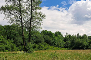 Działka na sprzedaż 7600m2 jasielski Dębowiec Duląbka - zdjęcie 3