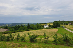 Działka na sprzedaż 2860m2 brzozowski Dydnia Niebocko - zdjęcie 2