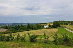 Działka na sprzedaż 2860m2 brzozowski Dydnia Niebocko - zdjęcie 2