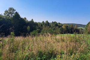 Działka na sprzedaż 1200m2 krośnieński Chorkówka Faliszówka - zdjęcie 2