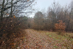 Działka na sprzedaż 1463m2 jasielski Jasło Osobnica - zdjęcie 1