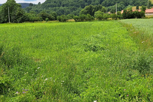 Działka na sprzedaż 5650m2 sanocki Zagórz Morochów - zdjęcie 3