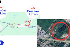 Działka na sprzedaż 20000m2 tarnowski Skrzyszów Ładna - zdjęcie 1