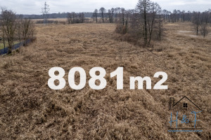 Działka na sprzedaż 8081m2 łaski Łask Utrata - zdjęcie 3