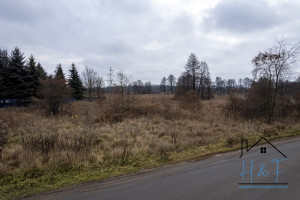 Działka na sprzedaż 8081m2 łaski Łask Utrata - zdjęcie 1