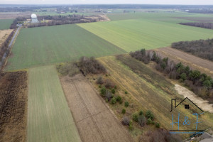 Działka na sprzedaż 7108m2 łaski Łask Wiewiórczyn - zdjęcie 3