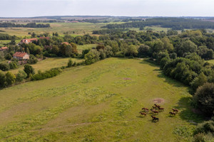 Działka na sprzedaż 1900m2 ostródzki Miłakowo Raciszewo - zdjęcie 1