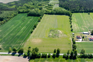 Działka na sprzedaż 3008m2 olsztyński Olsztynek Dębowa Góra - zdjęcie 3