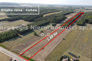 Działka na sprzedaż 16900m2 turecki Brudzew Cichów - zdjęcie 1