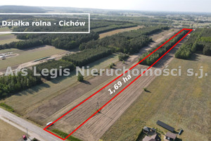 Działka na sprzedaż 16900m2 turecki Brudzew Cichów - zdjęcie 1