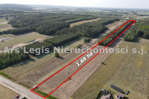 Działka na sprzedaż 16900m2 turecki Brudzew Cichów - zdjęcie 3