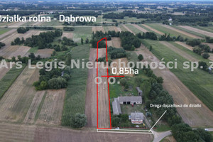 Działka na sprzedaż 8500m2 turecki Brudzew Dąbrowa - zdjęcie 1