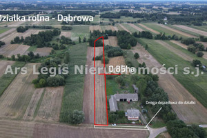 Działka na sprzedaż 8500m2 turecki Brudzew Dąbrowa - zdjęcie 1