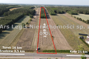 Działka na sprzedaż 16900m2 turecki Brudzew Cichów - zdjęcie 2