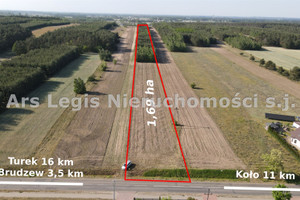 Działka na sprzedaż 16900m2 turecki Brudzew Cichów - zdjęcie 2