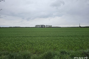 Działka na sprzedaż 3005m2 goleniowski Goleniów Mosty - zdjęcie 3