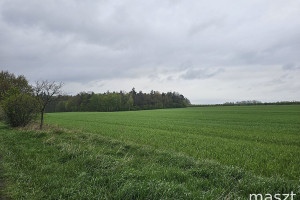 Działka na sprzedaż 3005m2 goleniowski Goleniów Mosty - zdjęcie 2