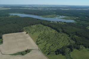 Działka na sprzedaż 1350m2 ostródzki Miłomłyn Boguszewo - zdjęcie 1